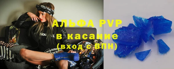 прущие грибы Осинники