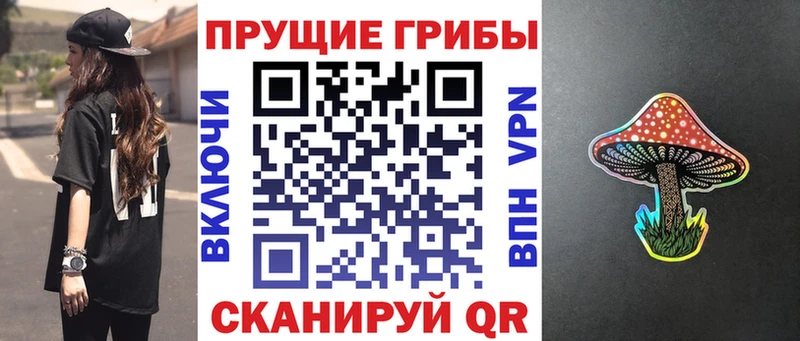 как найти закладки  Зеленодольск  Галлюциногенные грибы Magic Shrooms 